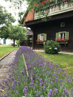 Bauernhaus Südsteiermark - Weststeiermark, Weinstraße, Radfahren, E-Bike, Feiern mit Familien & FreundInnen